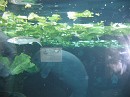 zoo and Early april 016
